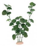 Augalas akvariumui plastmasinis didelis 30cm